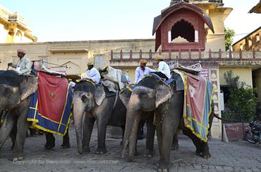 04 Fort_Amber_and Elephants,_Jaipur_DSC4973_b_H600